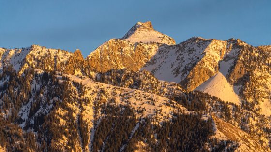 Crews Searching for 2 Skiers After Avalanche in Utah – MASHAHER