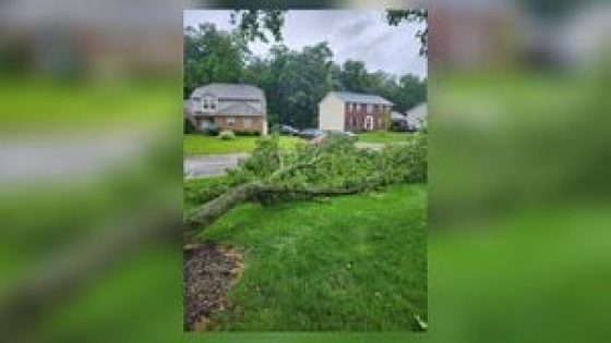 Damage reported as severe weather moves through Miami Valley – MASHAHER