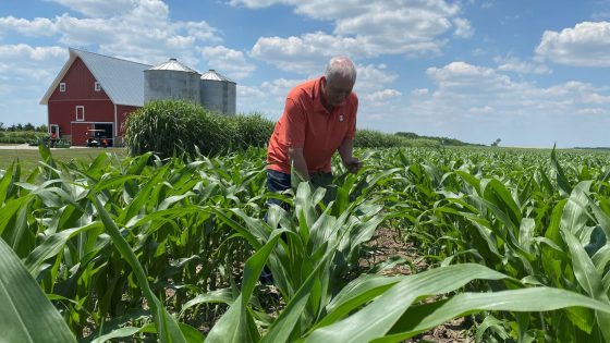 Corn hits 3-month high; soy, wheat climb on global crop weather woes – MASHAHER