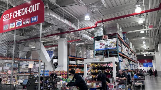 Costco (COST) shares dip despite earnings beat. We see no cause for concern – MASHAHER