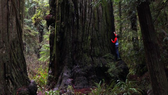 Five California State Parks to Visit This Spring – MASHAHER