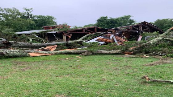 Weekend storms destroy Bluffton park pavilion, lightning strike sets Fripp attic on fire – MASHAHER