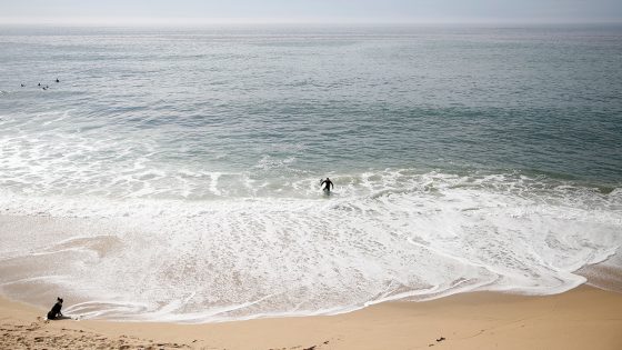 A San Francisco Billionaire Wants to Keep People Off the Beach Near His Home. A Judge Just Said No. – MASHAHER