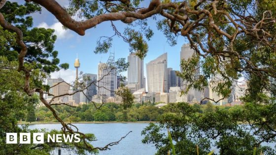 Sydney’s tree wars: Greed and harbour views fuel vandalism – MASHAHER