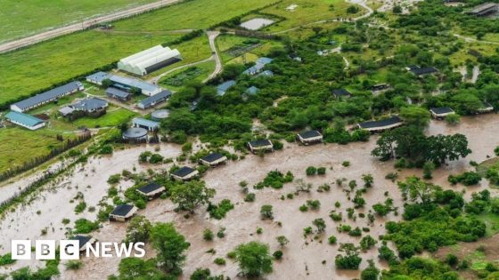 Floods maroon tourists in Kenya's Maasai Mara – MASHAHER