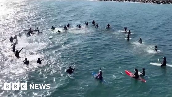 Mexico: Surfers pay tribute to tourists found dead – MASHAHER