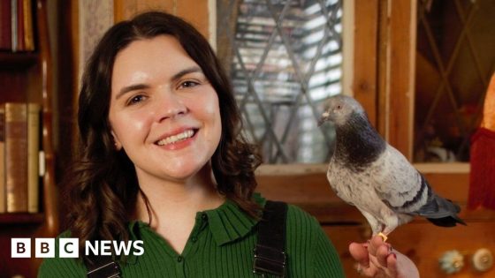 PR for pigeons: Woman’s mission to give the birds a better image – MASHAHER