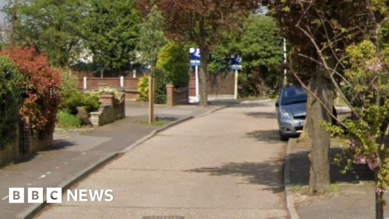 Hornchurch: Woman dies in XL bully attack at home – MASHAHER