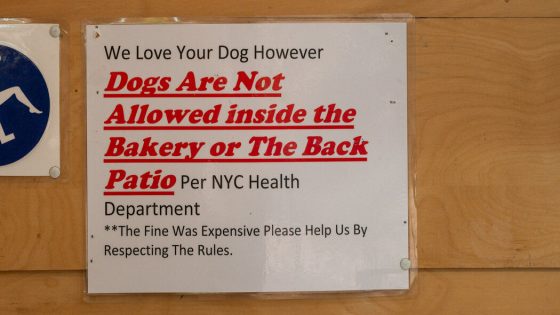 Can Dogs Go Into NYC Restaurants? – MASHAHER