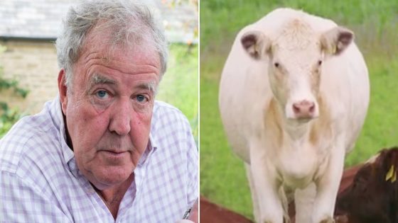 Jeremy Clarkson unveils Pepper the Cow U-turn as beloved pet returns to Clarkson’s Farm with new calf – MASHAHER