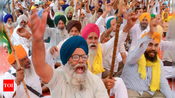 Farmers plough into BJP poll campaign in Punjab | India News – MASHAHER