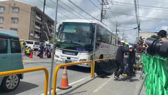 Sick of tourists, Japan town blocks view of Mt Fuji – MASHAHER