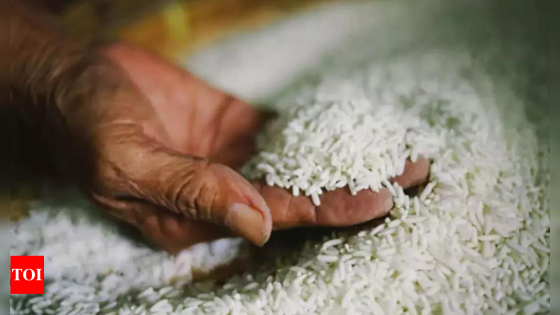 Government to launch study on non-Basmati rice market amid rising prices despite surplus stock | India News – MASHAHER