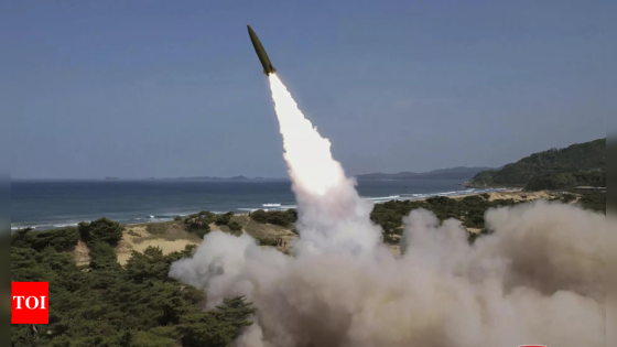 North Korea fires ballistic missile: Japan government – MASHAHER