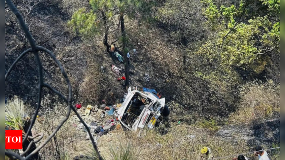 6 kids, 8 women among 22 dead was bus falls into gorge in Jammu | India News – MASHAHER