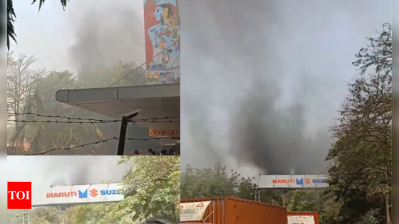 Massive fire reports in Gurgaon plant incorrect: Maruti Suzuki – MASHAHER