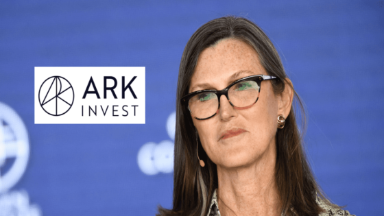 Cathie Wood sees a Great Depression-like search for safety in the stock market – MASHAHER