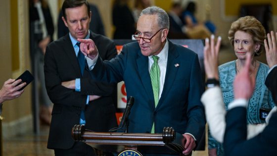 Schumer Announces Senate Will Vote Again on Border Bill – MASHAHER