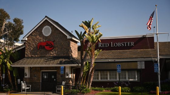 Red Lobster, an American Seafood Institution, Files for Bankruptcy – MASHAHER