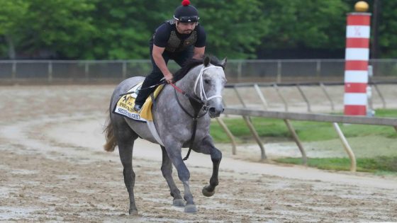 Preakness Stakes 2024: Seize The Grey wins in Baltimore, ending Mystik Dan’s Triple Crown hopes – MASHAHER