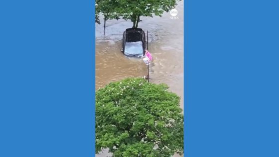 WATCH: Texas driver gets stuck in floodwater as onlookers scream – MASHAHER