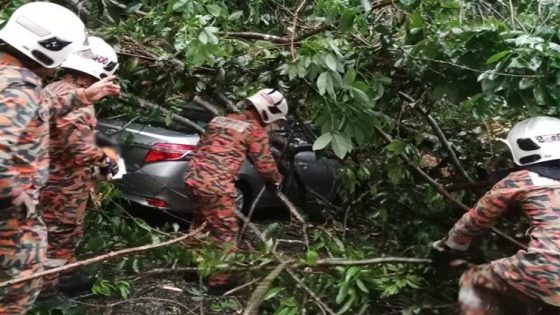 Woman escapes injury after tree falls on her car in Kampar – MASHAHER