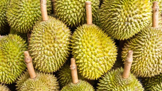 The Ultimate Durian Tour | The Star – MASHAHER