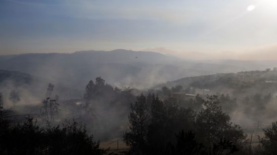 Chile firefighter, forest official linked to wildfires that killed 130 – MASHAHER