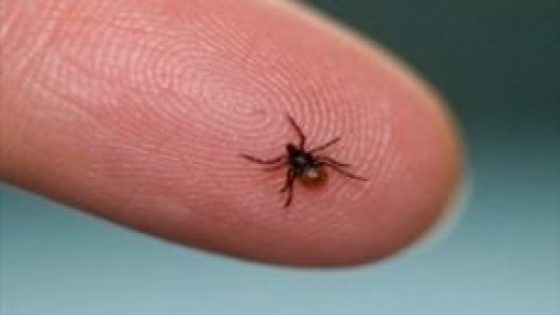 New tool from Pennsylvania Department of Health shows where ticks are prevalent – MASHAHER