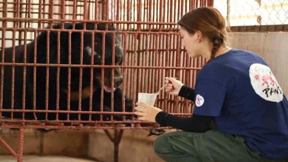 Bear Kept in Tiny Indoor Cage Sees the Outdoors for the First Time in 20 Years During His Rescue – MASHAHER