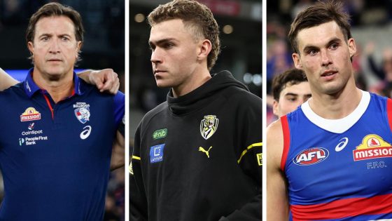 AFL results 2024, Western Bulldogs defeat Richmond Tigers, Round 9 final scores, updates, upset, stats, blog, teams, news – MASHAHER