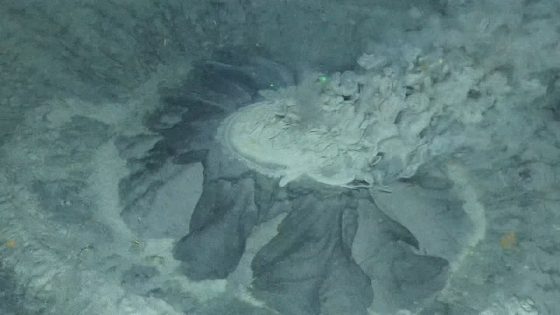 Video Captures Underwater Volcano Spewing Mud And Methane In The Barents Sea – MASHAHER