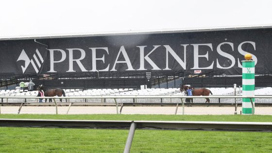 Preakness Stakes 2024: Seize The Gray wins in Baltimore, ending Mystik Dan’s Triple Crown hopes – MASHAHER