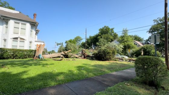 Central Arkansas faces downed trees, power outages after Saturday morning storm – MASHAHER