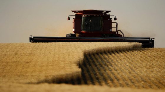 Wheat prices have surged to 8-month highs amid global conflict and extreme weather – MASHAHER