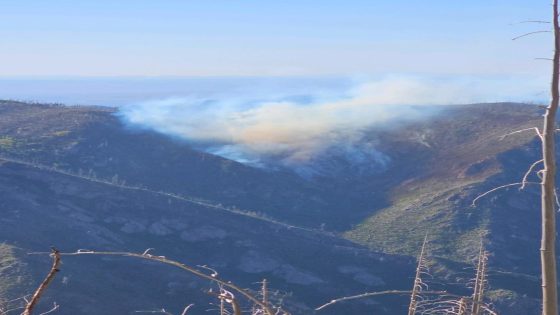 Blue 2 wildfire forces evacuations in Lincoln County – MASHAHER