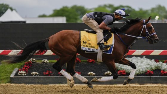 Preakness Stakes 2024: Odds, live updates, draw, horses and more from the 149th running of the race from Pimlico – MASHAHER