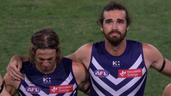 Live AFL scores 2024, Fremantle Dockers vs Sydney Swans, Round 9 updates, stats, blog, start time, teams, how to stream, news – MASHAHER