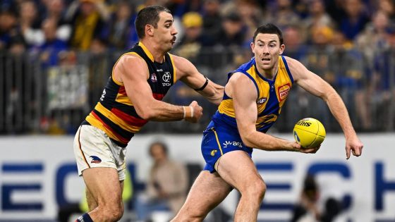 Live AFL scores 2024, Adelaide Crows vs West Coast Eagles, Round 11 updates, stats, blog, how to stream, start time, teams, latest news – MASHAHER