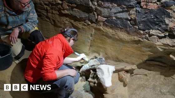 Austrian winemaker finds mammoth bones in wine cellar – MASHAHER