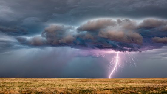 Rancher, 34 head of cattle killed by lightning in Jackson County – MASHAHER