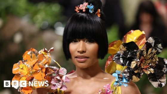 Nicki Minaj freed after arrest at Amsterdam airport – MASHAHER