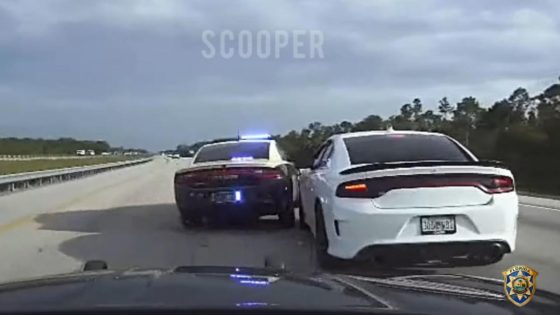 Watch A Suspect Challenge A Florida Trooper – MASHAHER