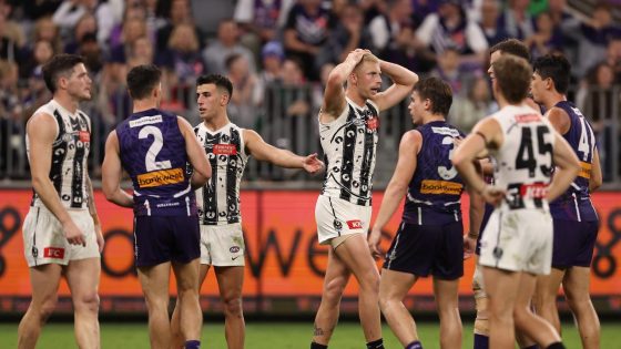 Controversial umpire decision gifts Dockers goal in comeback, free kick against Lachie Sullivan, umpire Mathew Nicholls, Fremantle Dockers draw with Collingwood Magpies, reaction, comments, latest news – MASHAHER