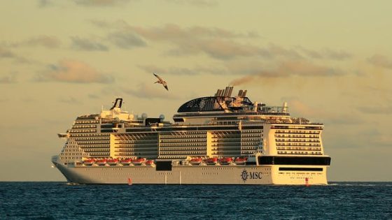 Cruise Ship Likely Killed Endangered Whale Before Dragging Carcass To New York – MASHAHER