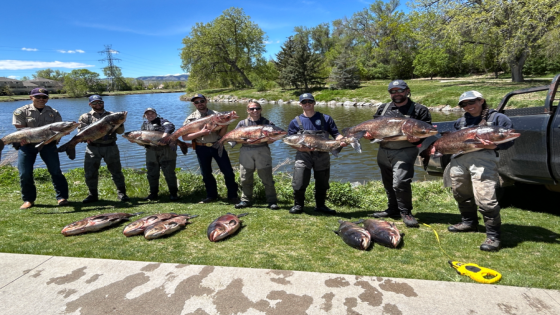 Community tip helps in removal of 14 invasive carp from Arvada pond – MASHAHER