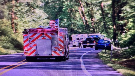 Oregon Route 126 closed east of Florence after reported traffic accident – MASHAHER