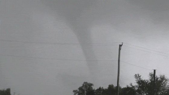 Twister Destroys Building Right in Front of Chasers Amid Deadly Iowa Storms – MASHAHER