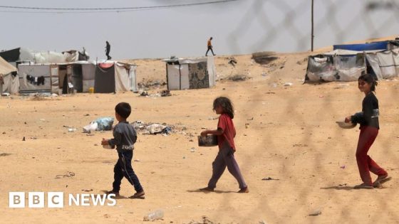 UN halts Rafah food distribution due to shortages and hostilities – MASHAHER