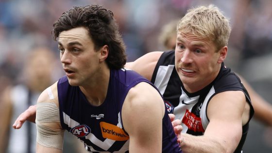 AFL tips Round 11 2024 – MASHAHER